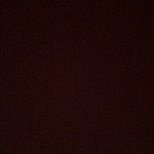 Meet your Posher, Danica